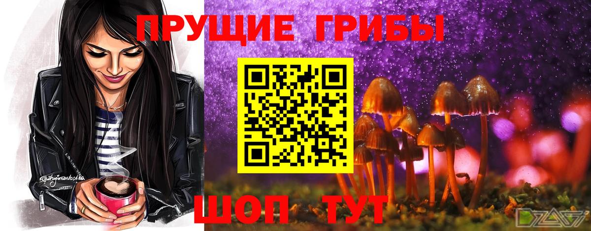 Псилоцибиновые грибы Psilocybe Усолье-Сибирское
