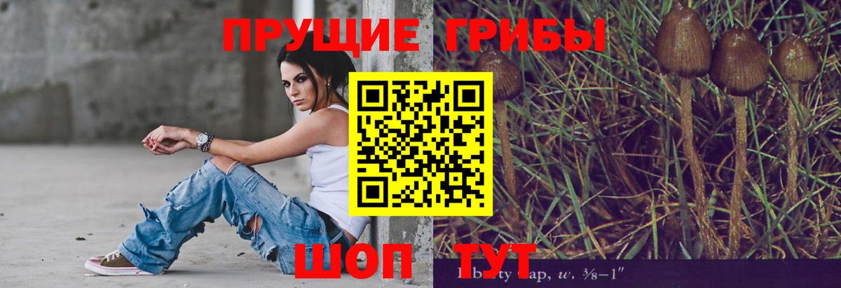 Усолье-Сибирское  как найти закладки  Вход с VPN  Псилоцибиновые грибы ЛСД  Псилоцибиновые грибы прущие грибы 